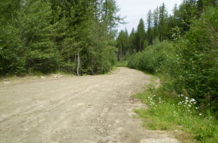 Little White Forest Service Road by parking area, 2010-08.